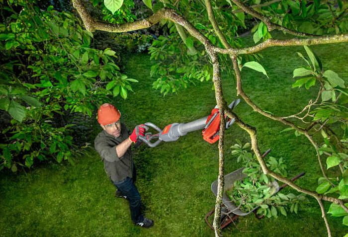 Pruning Tree